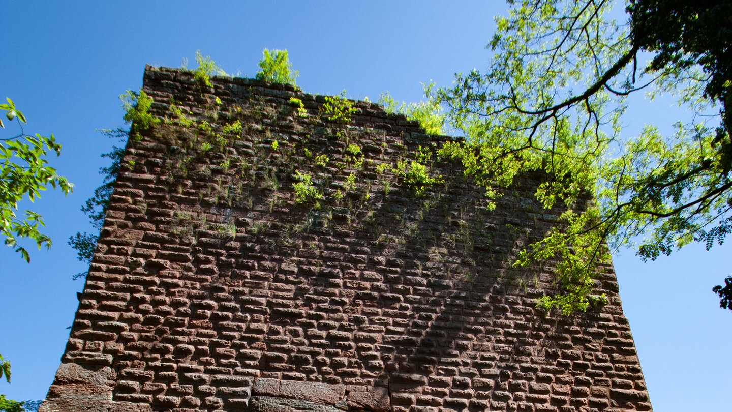 Mauern der Ruine Wasenburg