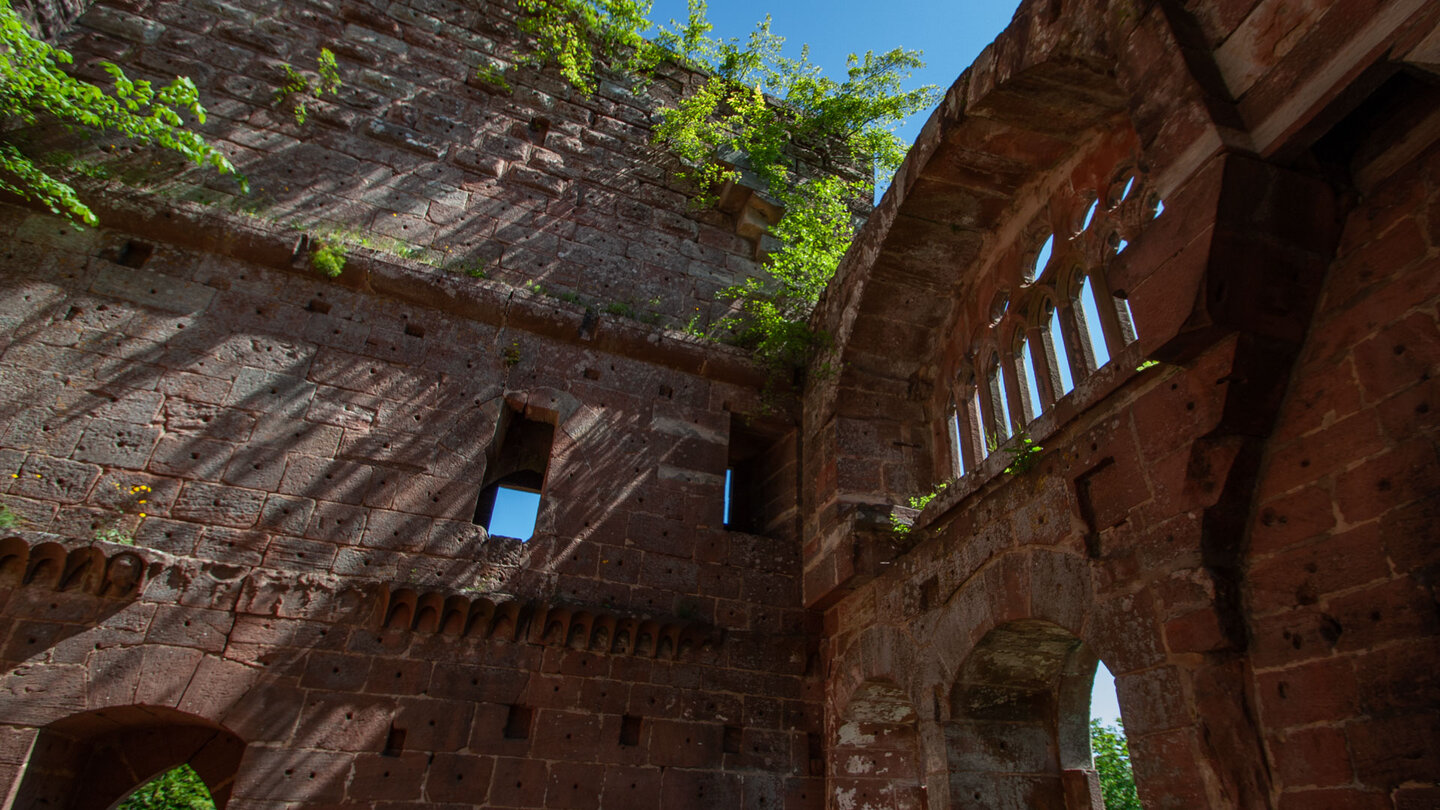 die Ruine Château de la Wasenbourg