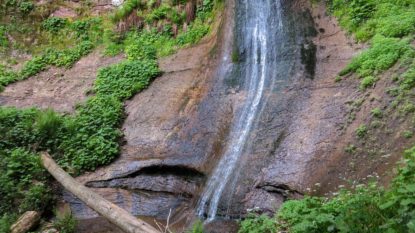 Sankenbachwasserfall bei Baiersbronn