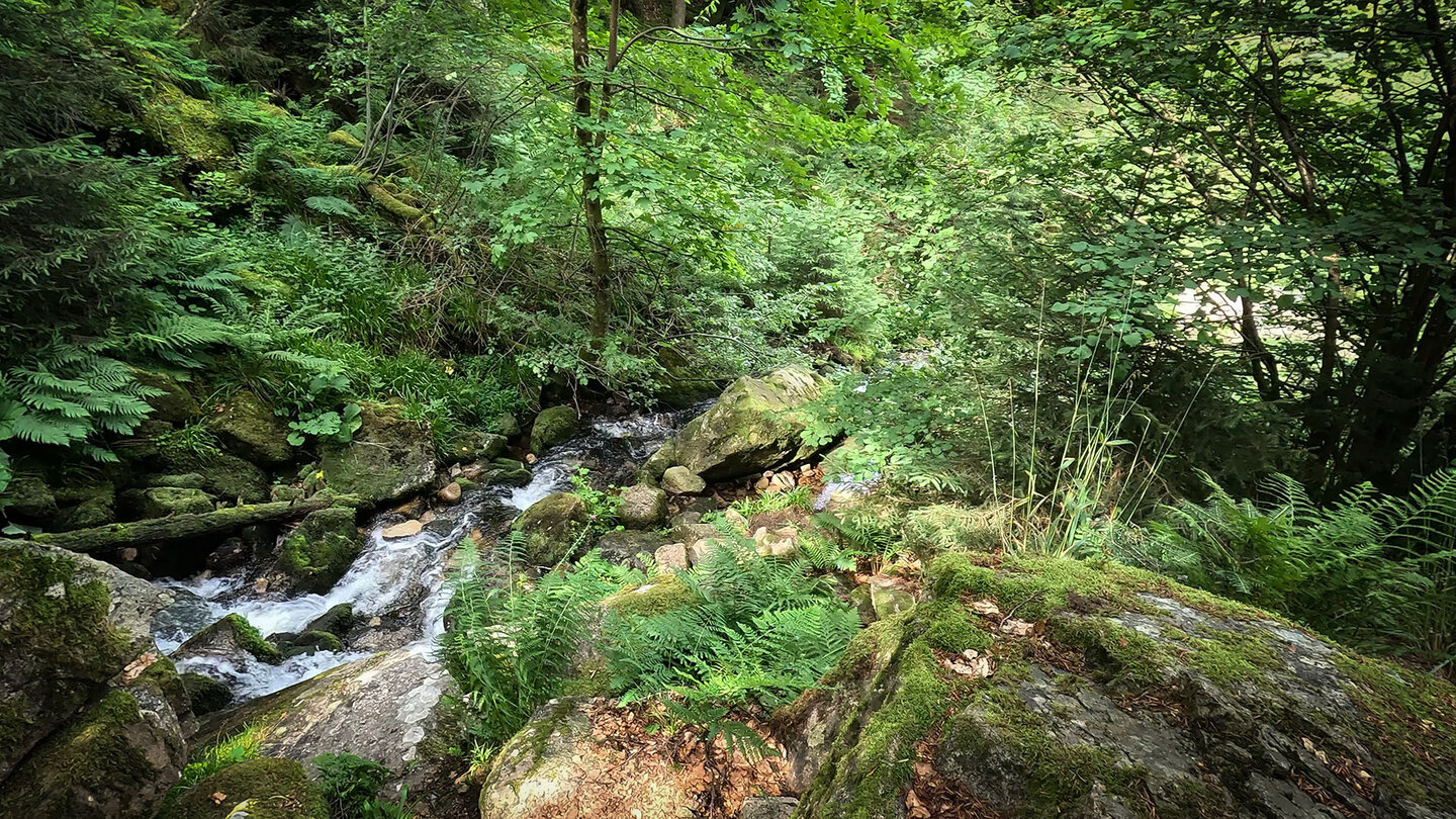 Bachlauf beim Wasserfall Cascade du Rudlin
