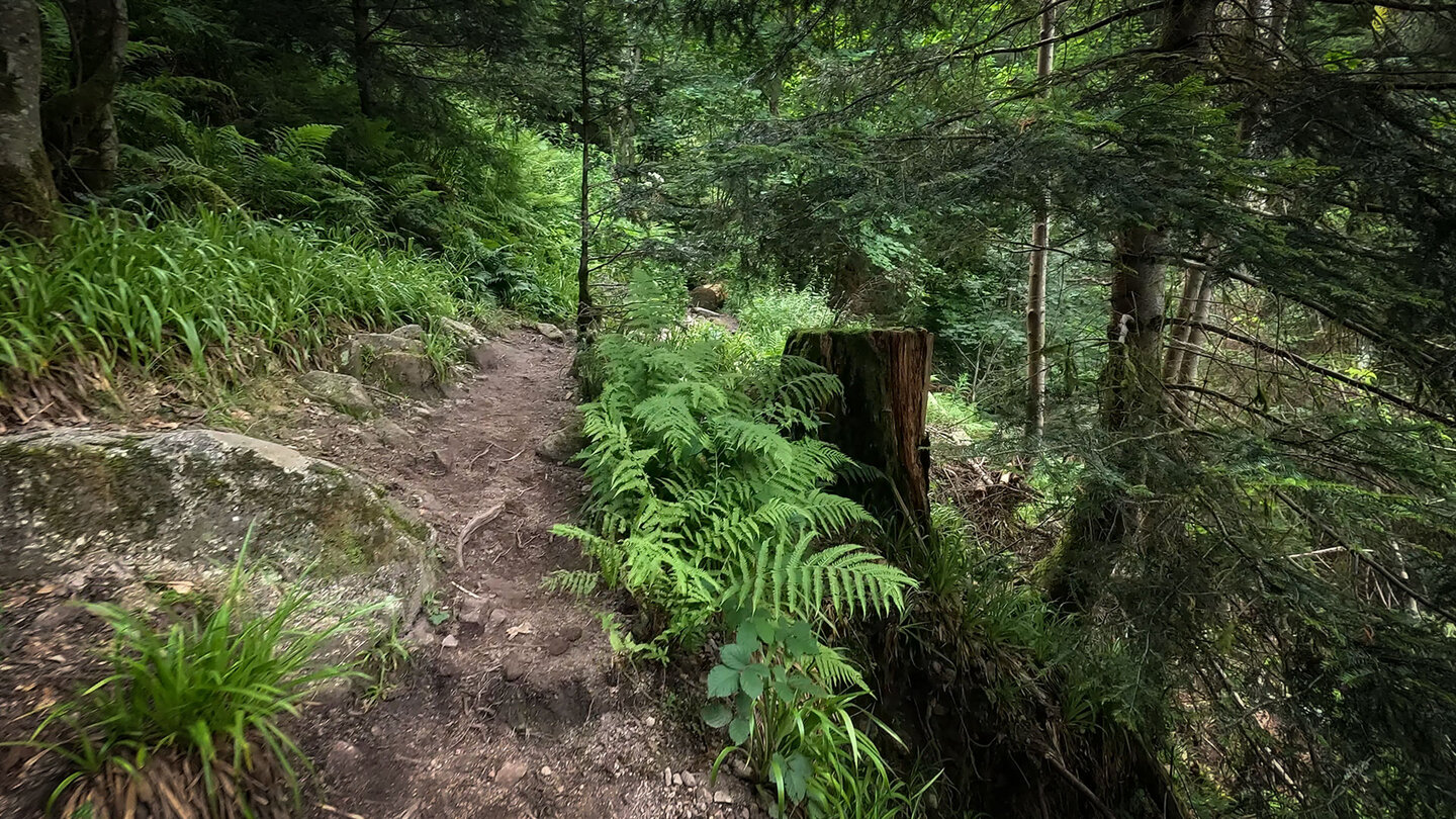 Wanderpfad zum Rudlin-Wasserfall