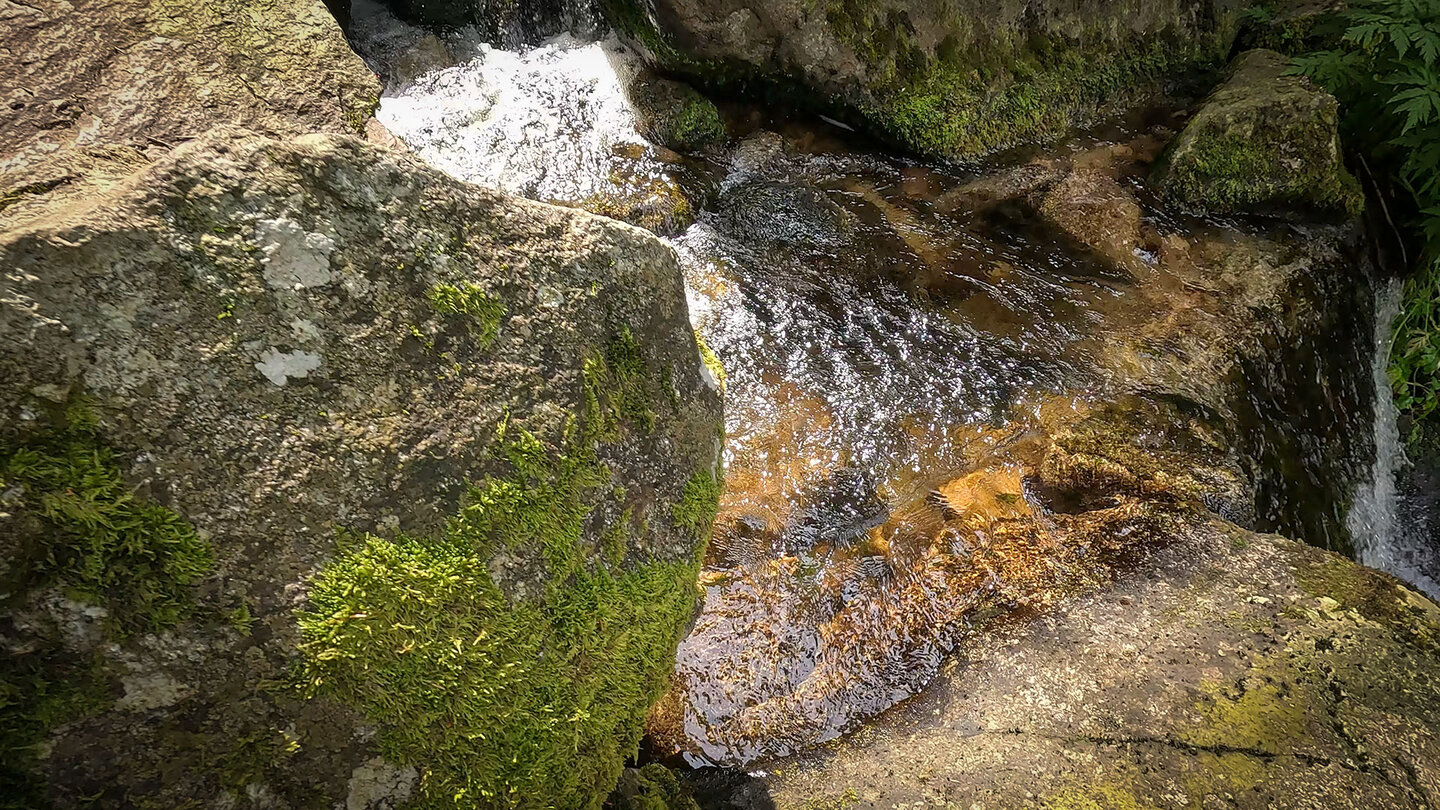 Bachlauf am Wasserfall Cascade du Rudlin