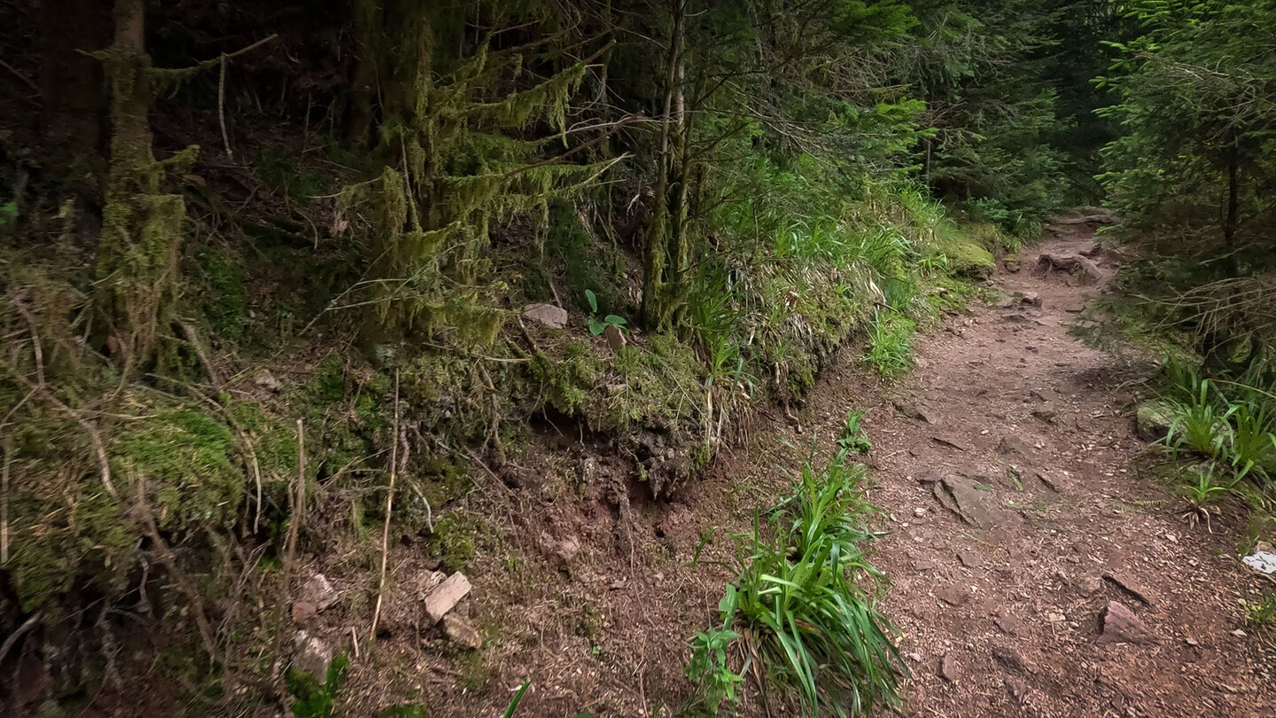 Wanderweg Cascade du Rudlin – Étang des Dames