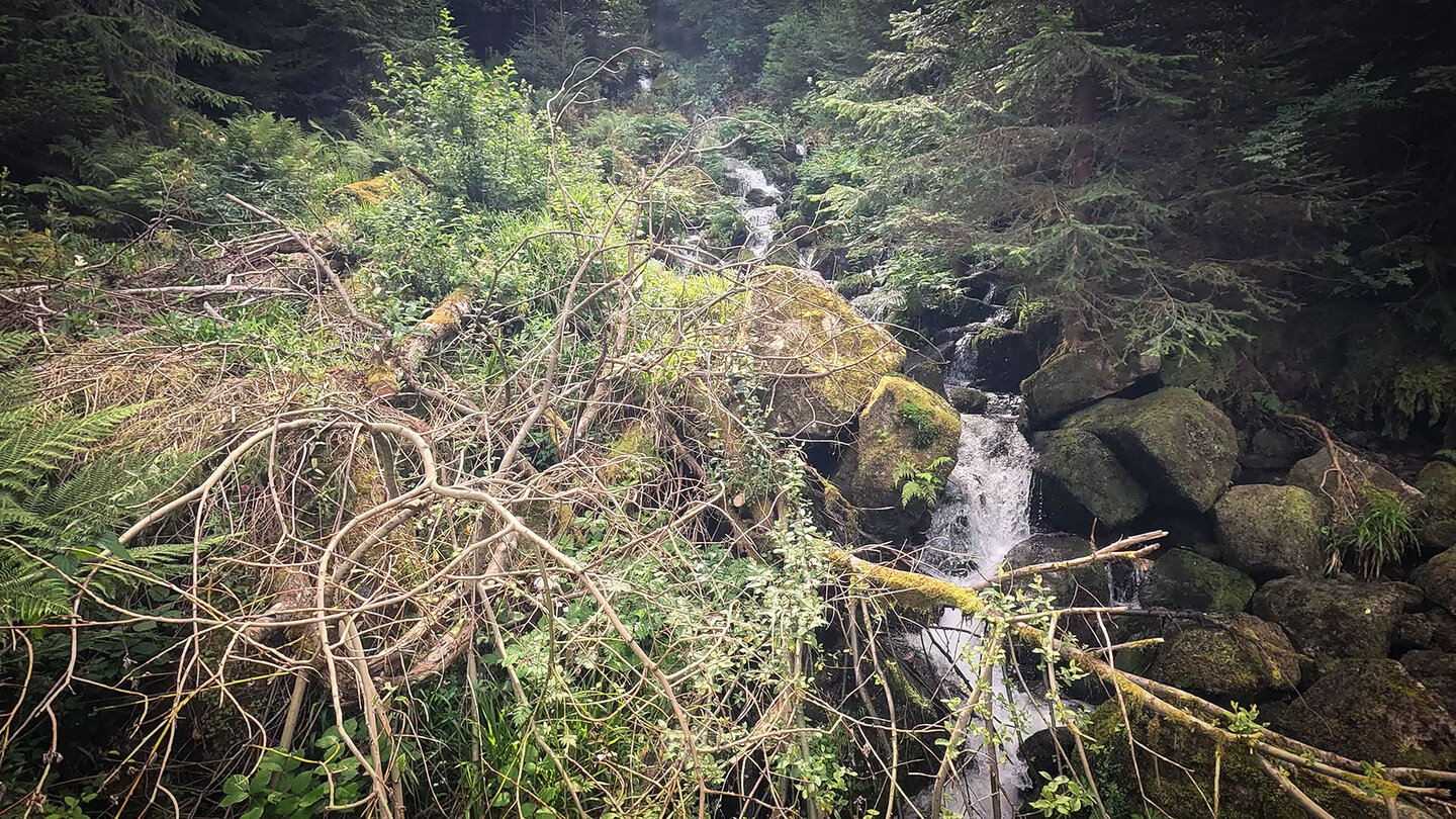 ein Wildbach speist den Wasserfall Cascade du Rudlin
