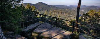 Gesichertes Felsplateau des Weißen Fels am Klingenmünsterer Burgenweg mit Blick über den Pfälzerwald.