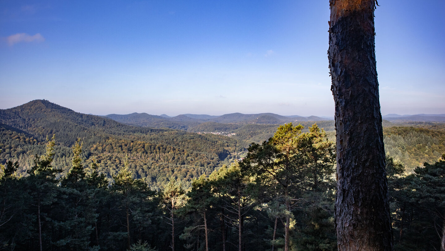 Blick vom Weißen Fels über die bewaldeten Höhenzüge des Wasgau im südlichen Pfälzerwald.