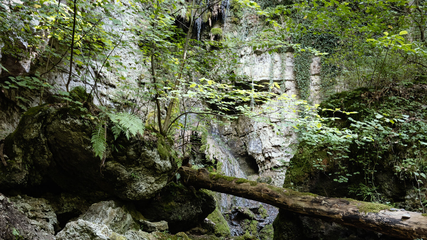 Sturzdobel-Wasserfall in den Wutachflühen