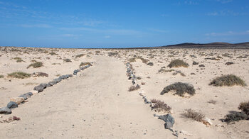der mit Steinen begrenzte Wanderweg PR FV 56 durch eine karge Sandlandschaft