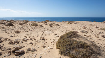 sandige Wüstenlandschaft vor tiefblauem Atlantik