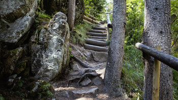 der Abstieg zum Roodbach Wasserfall
