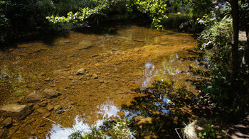 Haslach bei Lenzkirch