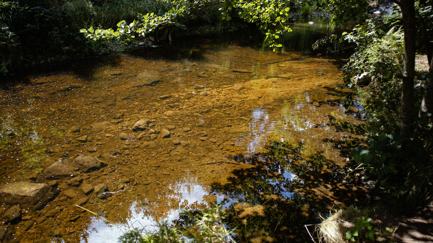 Haslach bei Lenzkirch