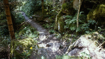 Felsen säumen den Wanderpfad beim Roodbachtal