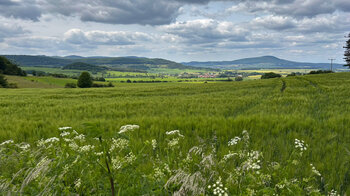 Ausblick in die Wiesenthaler Schweiz