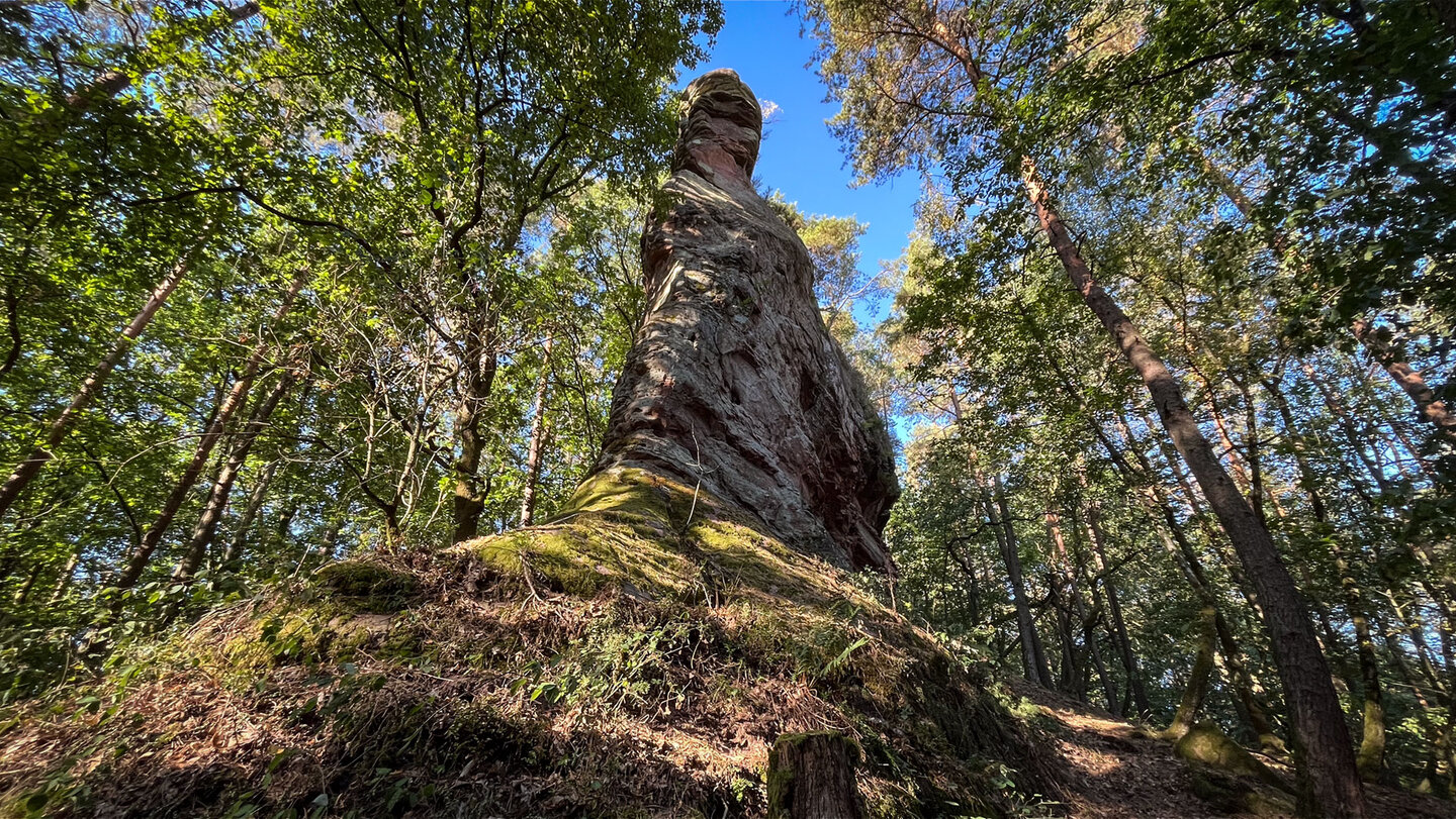 Mächtige Felswand des Haselsteins bei Oberschlettenbach, links moosiger Waldboden, rechts Buchenstamm im Sonnenlicht
