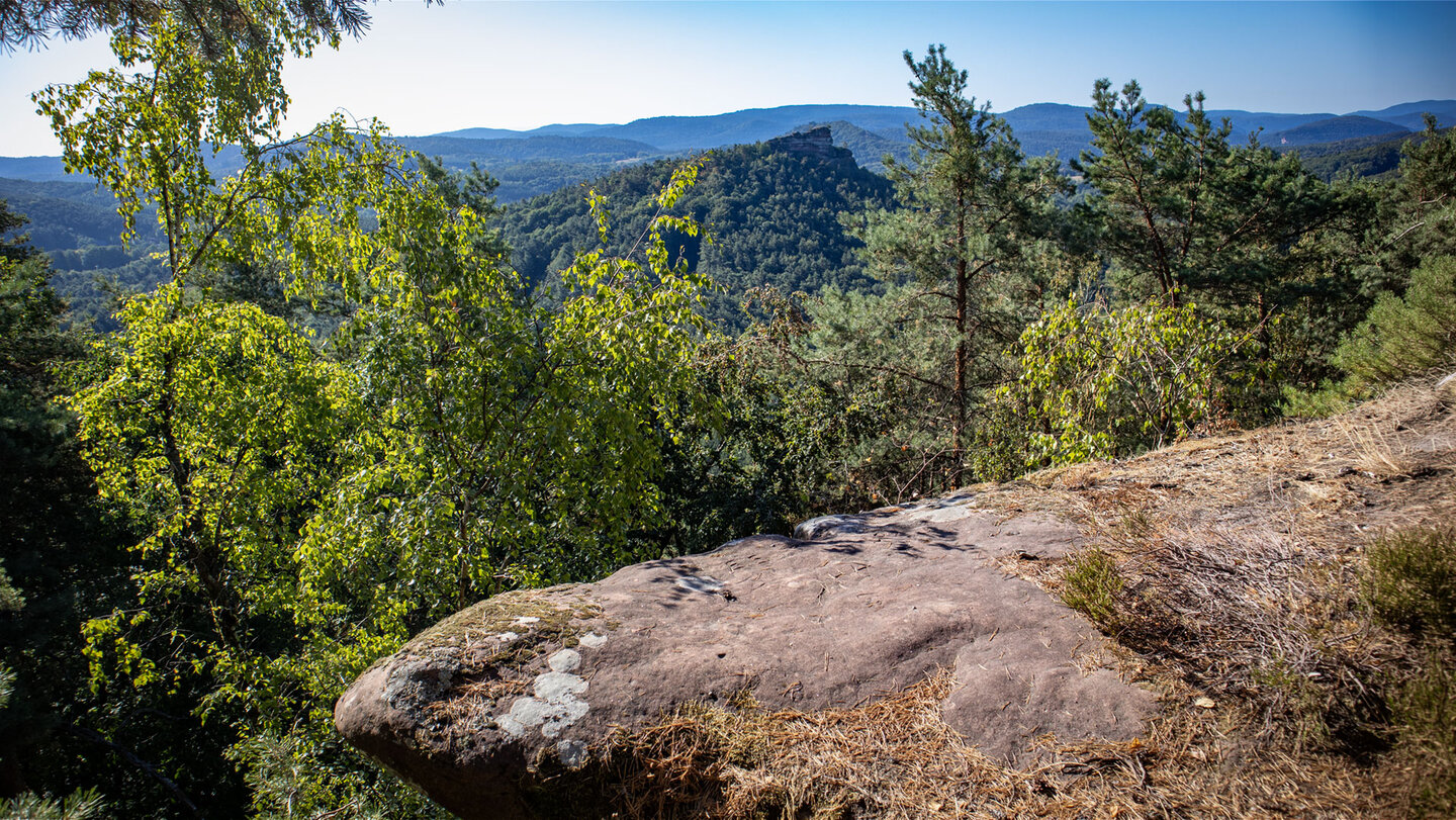 Panorama vom Kühungerfelsen über bewaldete Bergrücken des Wasgaus mit dem Felsenriff des Haselsteins in der Bildmitte