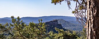 Rötliches Felsenriff des Haselsteins auf bewaldetem Berggipfel, eingerahmt von Kiefernzweigen und Stamm, dahinter blaue Bergrücken