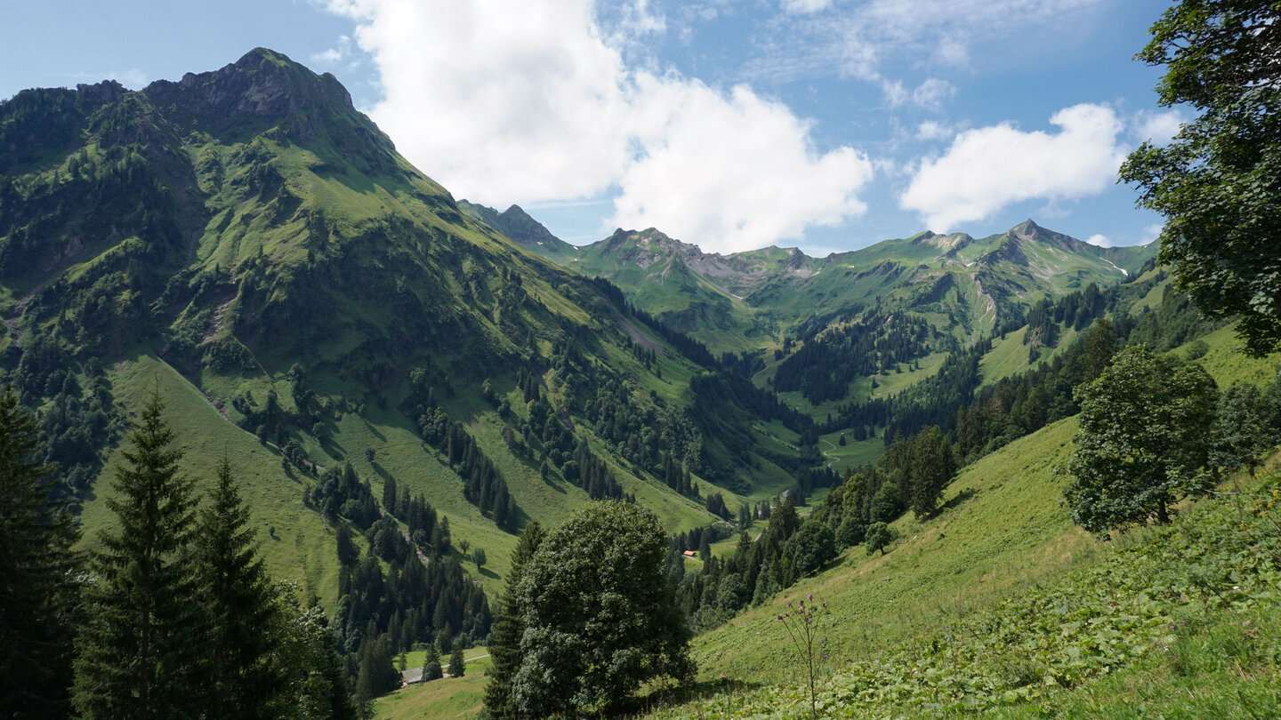 Almwiesen mit Bergpanorma und Blick über das Tal Almwiesen mit Bergpanorma