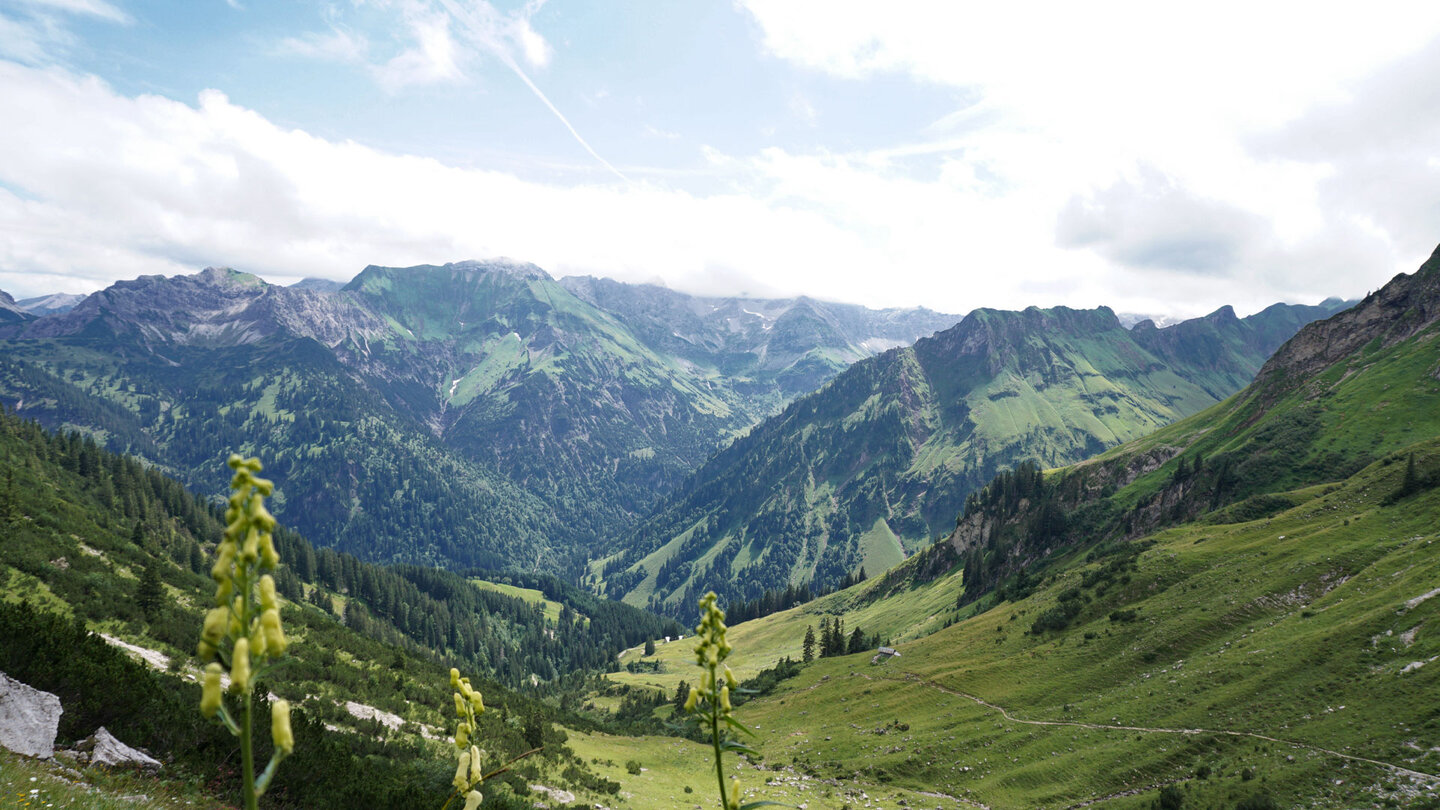 der Blick zurück zeigt das malerische Obertal der Blick zurück in das Tal