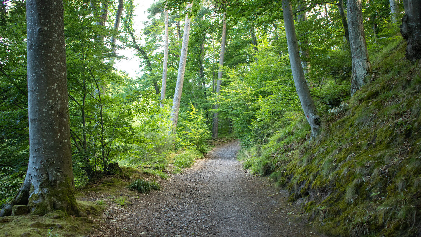 Wanderroute zur Burg Meistersel in der Südpfalz