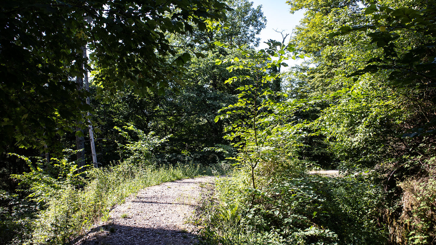 Wanderweg durch Anlage der Burg Meistersel