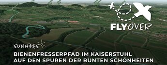 Bienenfresserpfad im Kaiserstuhl – Flyover