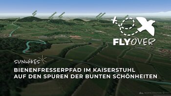 Bienenfresserpfad im Kaiserstuhl – Flyover