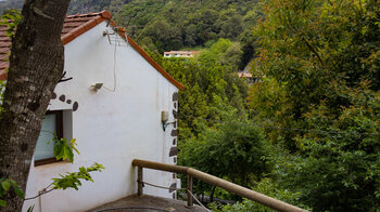 vereinzelte Häuser der Siedlung El Cedro im Lorbeerwald