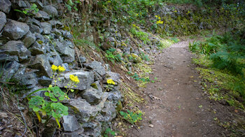Wanderweg entlang Steinmauern im Bereich der Streusiedlung El Cedropilz