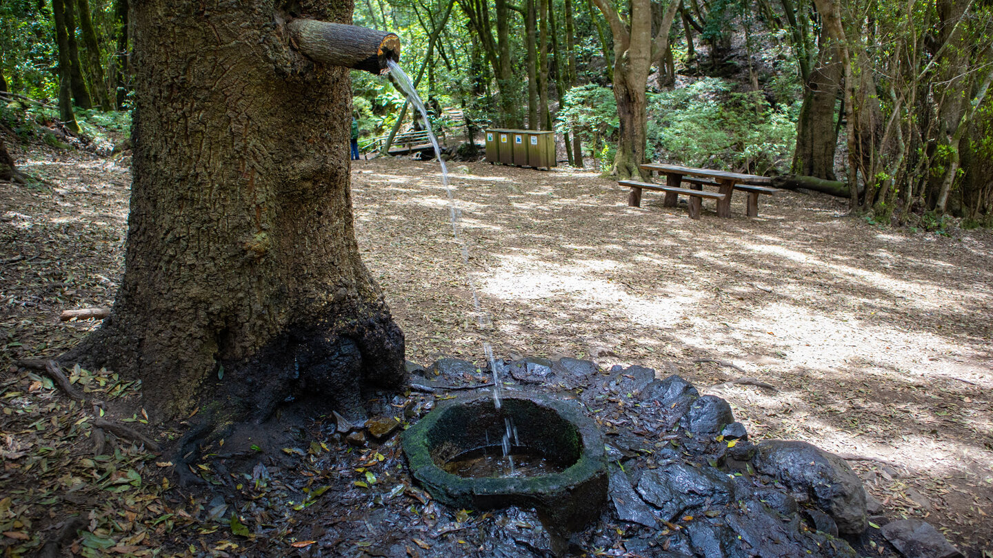 Brunnen im Baum am Rastplatz bei der Ermita de Lourdes