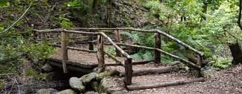 der Wanderweg quert den Bachlauf mehrfach über Holzbrücken