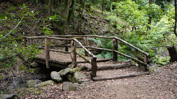 der Wanderweg quert den Bachlauf mehrfach über Holzbrücken