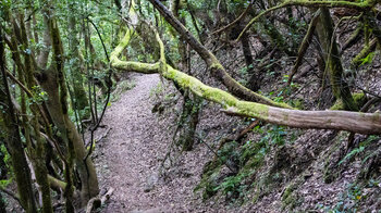 Wanderpfad zur Aula de Naturaleza