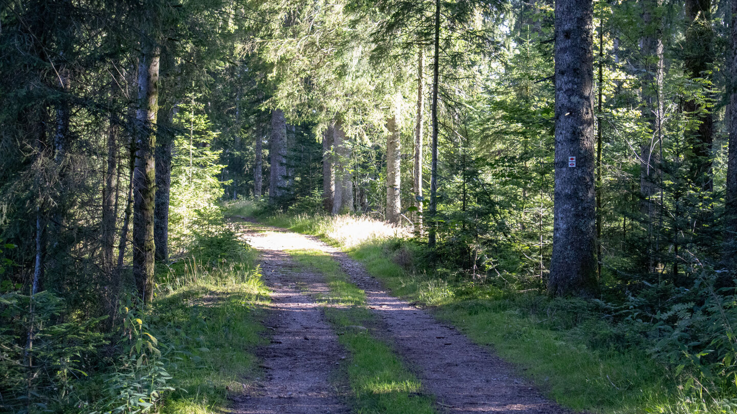 der Westweg zwischen Neueck und Kalte Herberge