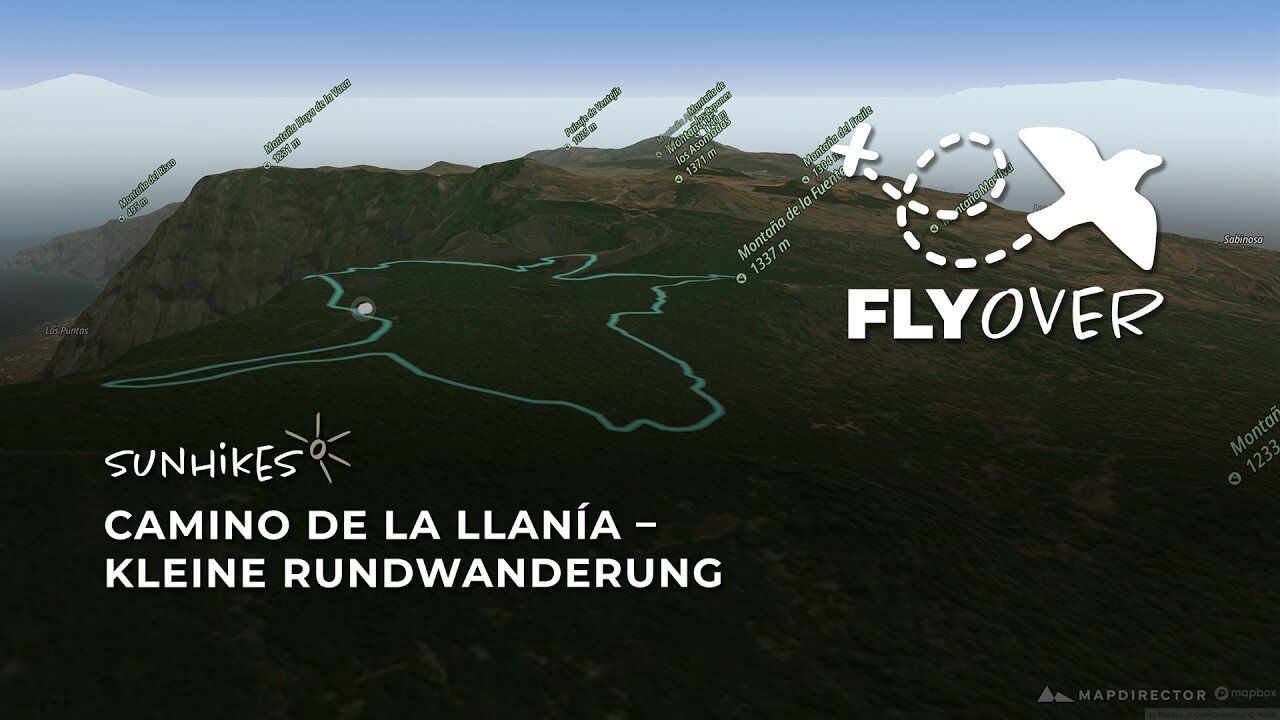 Nebelwald & Kraterblick: Die kleine Llanía-Runde auf El Hierro im 3D-Flyover