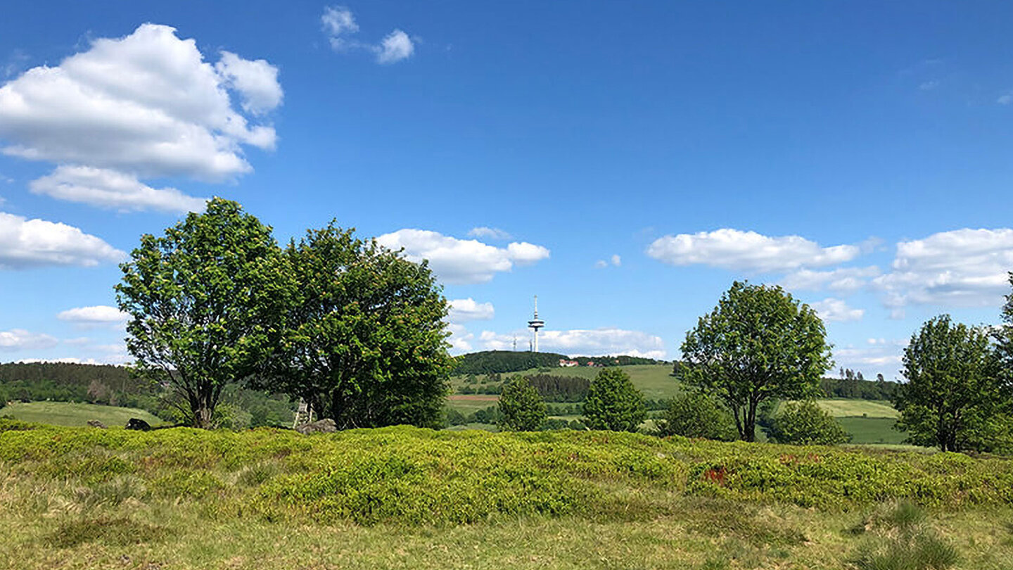 Blick zum Hoherodskopf Blick Hoherodskopf