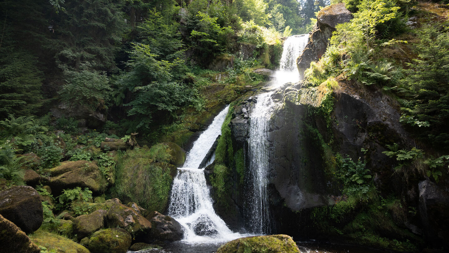 die Triberger Wassefälle im Schwarzwald