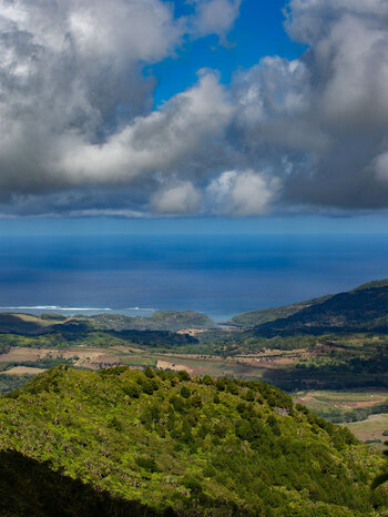 Blick über die Zuckerrohrfelder am Weg