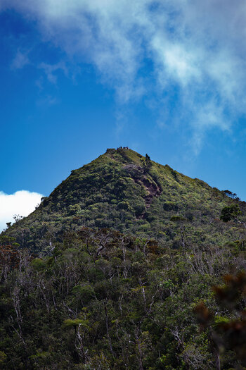 Aufstieg zum Gipfel des Piton de la Petite Rivière Noire auch als Black River Peak bekannt