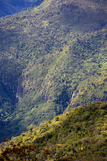 Victoria Wasserfall vom Piton de la Petite Rivière Noire Trail