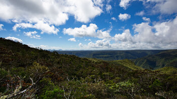 Grüne Bergkämme im Black-River-Nationalpark