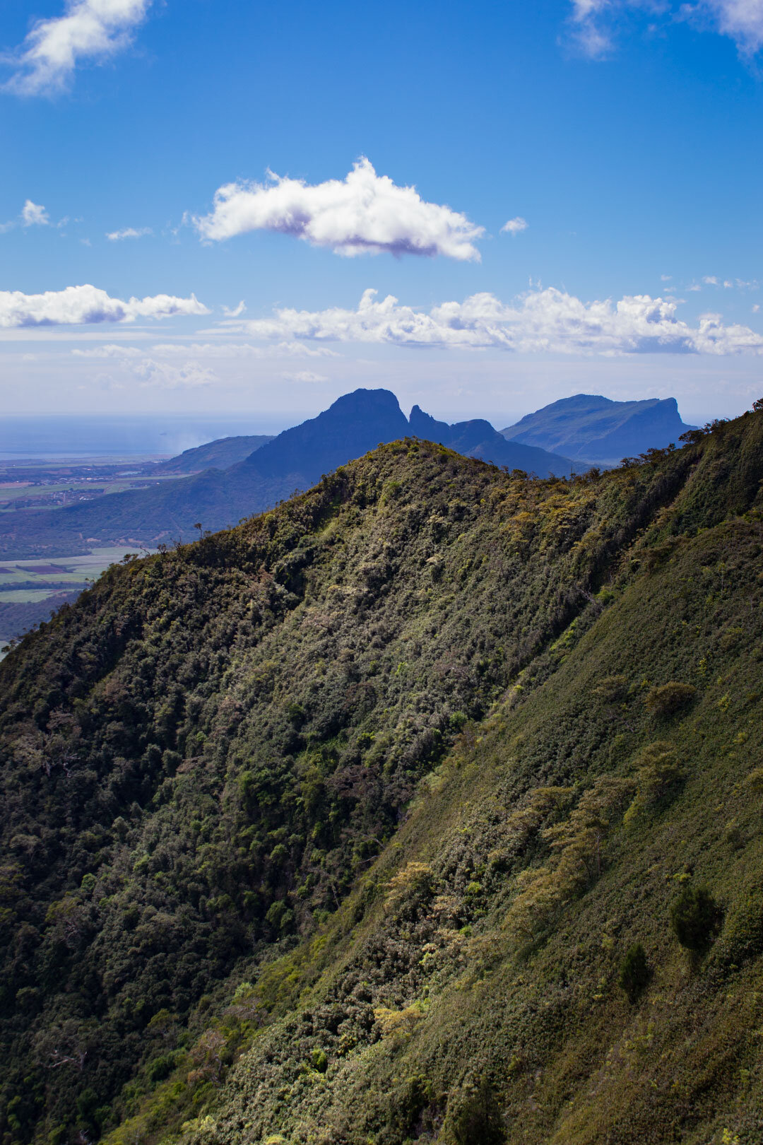 Ausblick auf die Bergwelt der Insel Mauritius