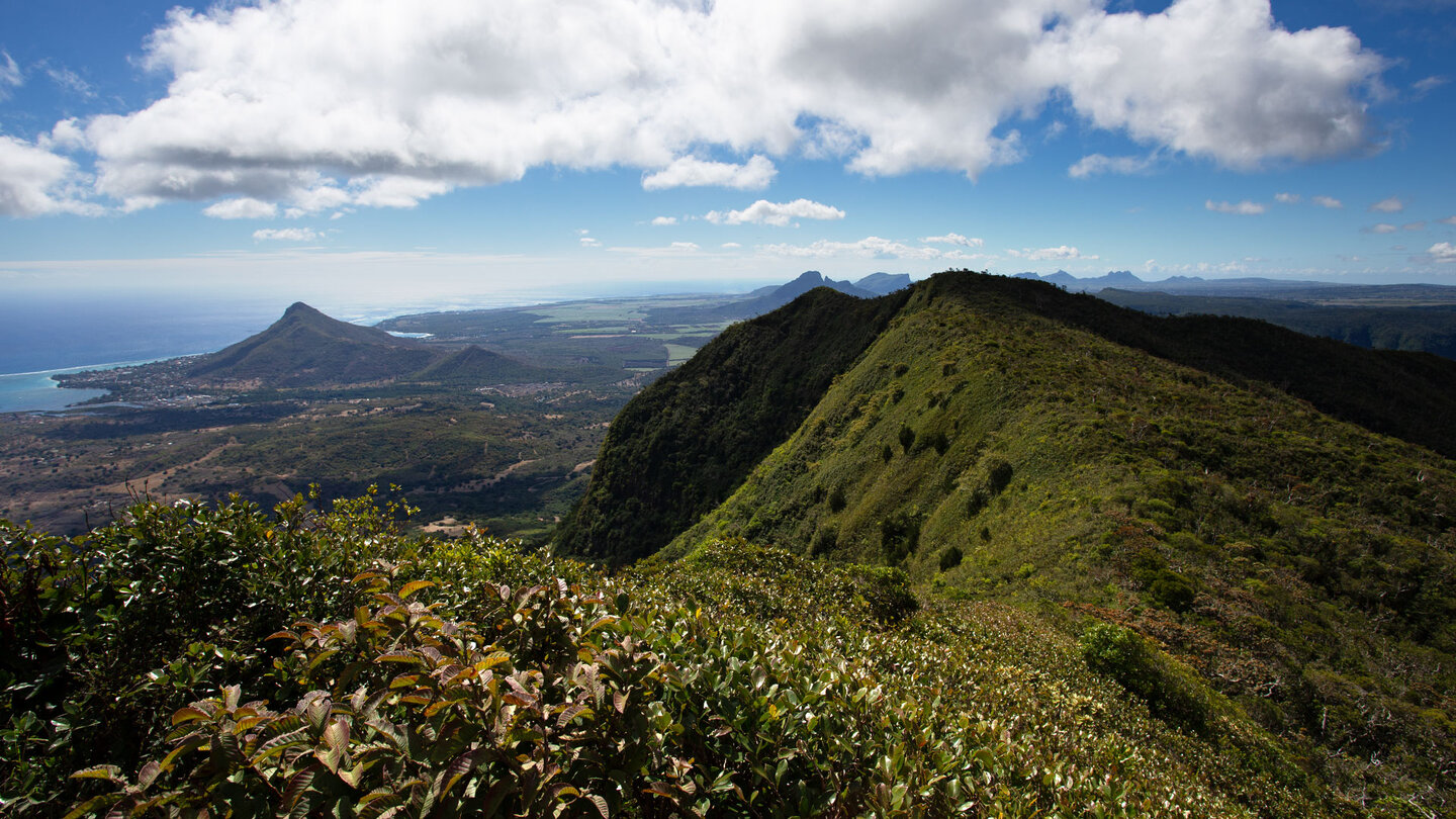 Aussicht vom Piton de la Petite Rivière Noire