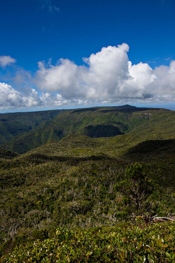 Auf dem Weg im Black-River-Nationalpark