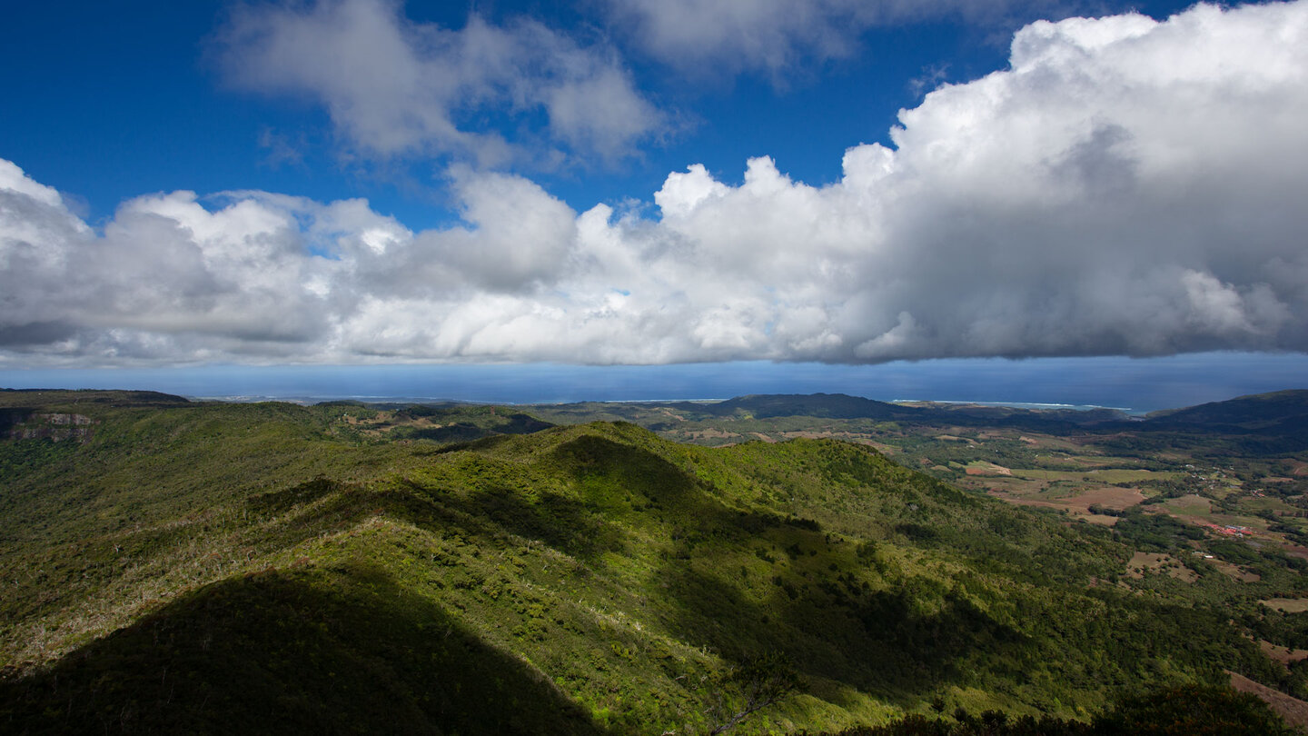 Aussicht am Gipfel des Piton de la Petite Rivière Noire - Black River Peak