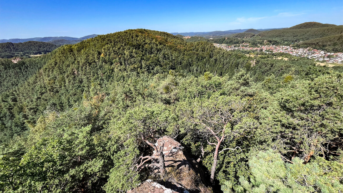 Aussicht von den Erfweiler Sattelfelsen auf den Kahlenberg und Erfweiler.