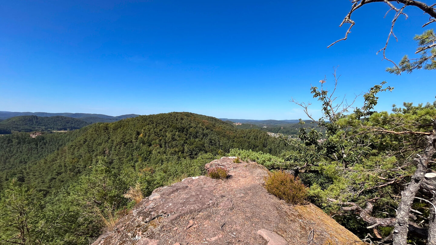 Panoramablick von den Erfweiler Sattelfelsen über den Wasgau.