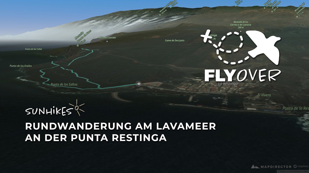 Im schwarzen Lavafeld des Südens: Die Punta-Restinga-Runde im 3D-Flyover