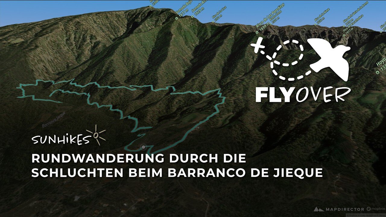Schattige Kiefernwälder & Weinberge auf La Palma: Die Täler von Jieque im packenden Flyover Video