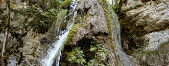 Felsformation des Tannegger Wasserfall in der Wutachschlucht